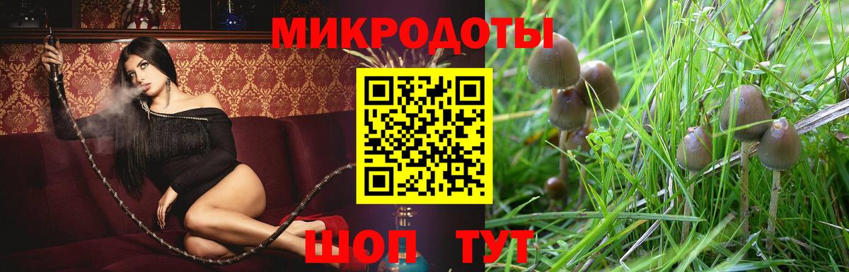 Галлюциногенные грибы MAGIC MUSHROOMS  Вход с VPN  Ярославль 